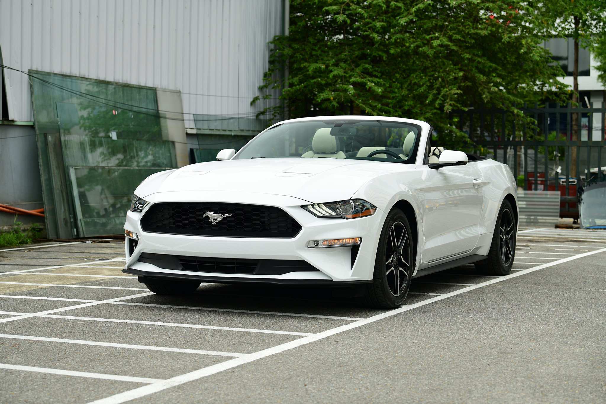 Ford Mustang Convertible 2021