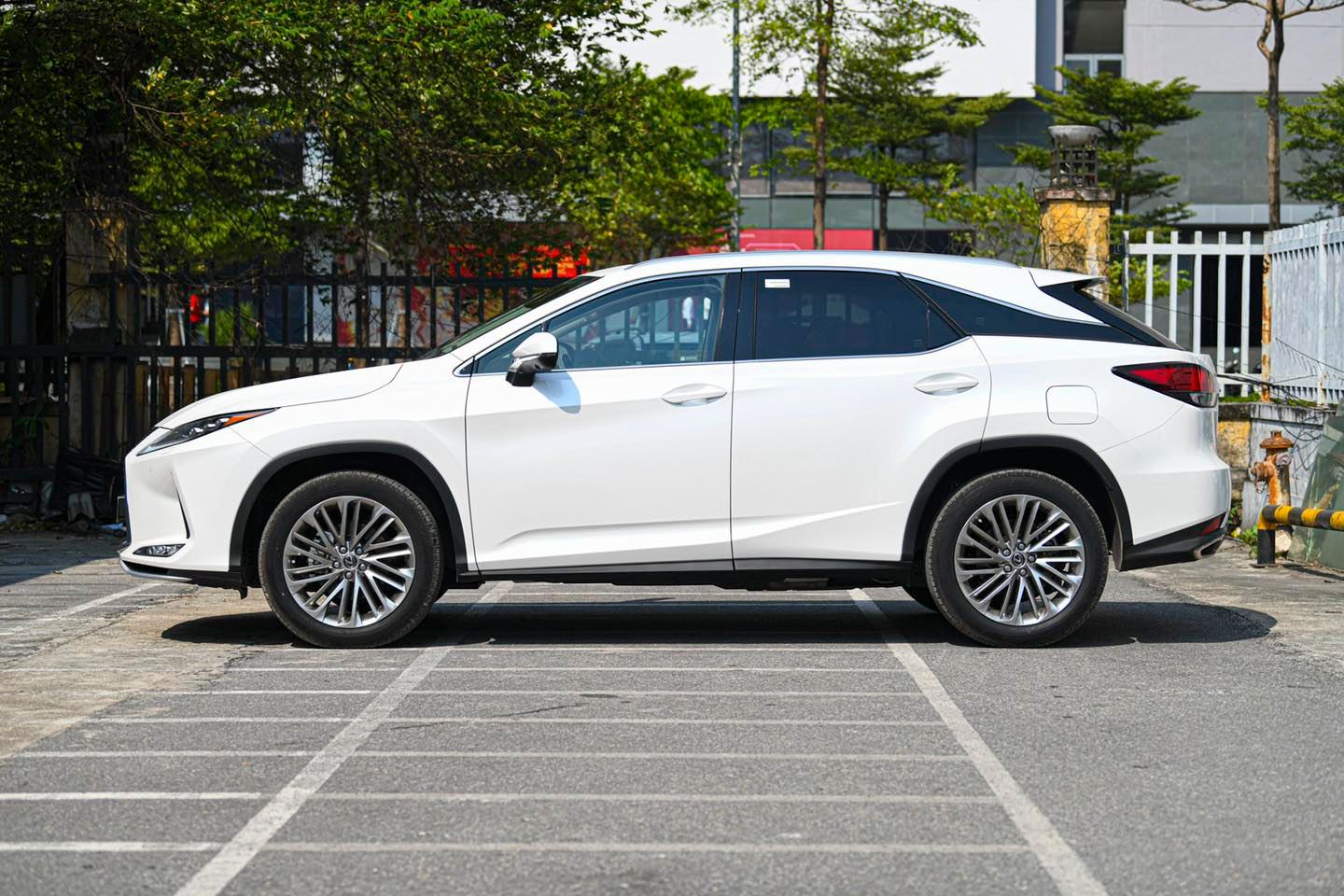 2021 Lexus RX Review Pricing and Specs